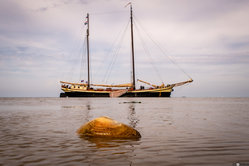 Foto van Dieter Hollinde