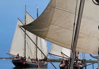 Foto van Thalia Houwing
