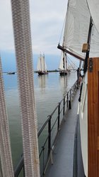 Foto van Thalia Houwing