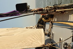 Foto van Nannette Hengst