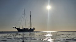 Foto van S. Friedrich