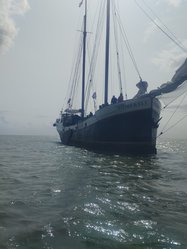 Foto van Meike 