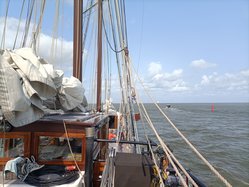 Foto van Anke