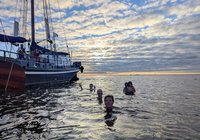 Foto van Matthias Wenke 