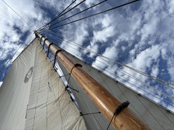 Foto van Anita