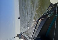 Foto van Andrë van Kampen