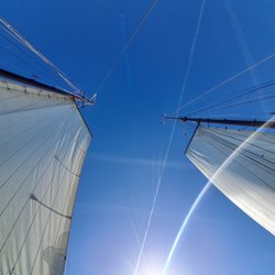 Foto van Guido Kallaus