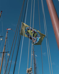 Foto van dkf event Solution