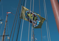 Foto van dkf event Solution