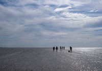 Foto van Peter van Liempt