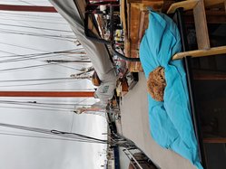 Foto van Marly Hoogendoorn
