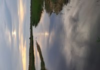 Foto van Marly Hoogendoorn