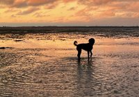 Foto van Renilde