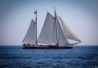 Foto van Dieter Hollinde