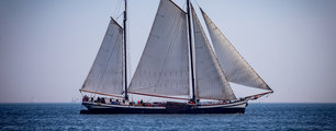 Foto van Dieter Hollinde