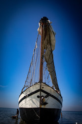 Foto van Dieter Hollinde