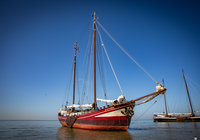 Foto van Dieter Hollinde