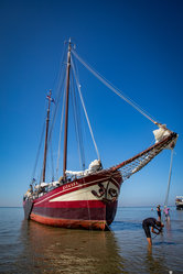 Foto van Dieter Hollinde