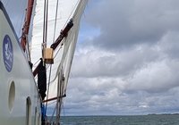 Foto van Robert Schmid 