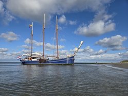 Foto van Steff 