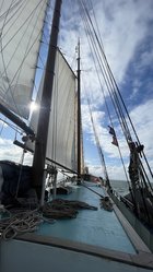 Foto van Steff 