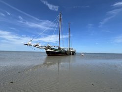 Foto van Theo