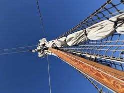 Foto van Nienke Binkhorst