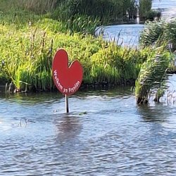Foto van Anita Holt